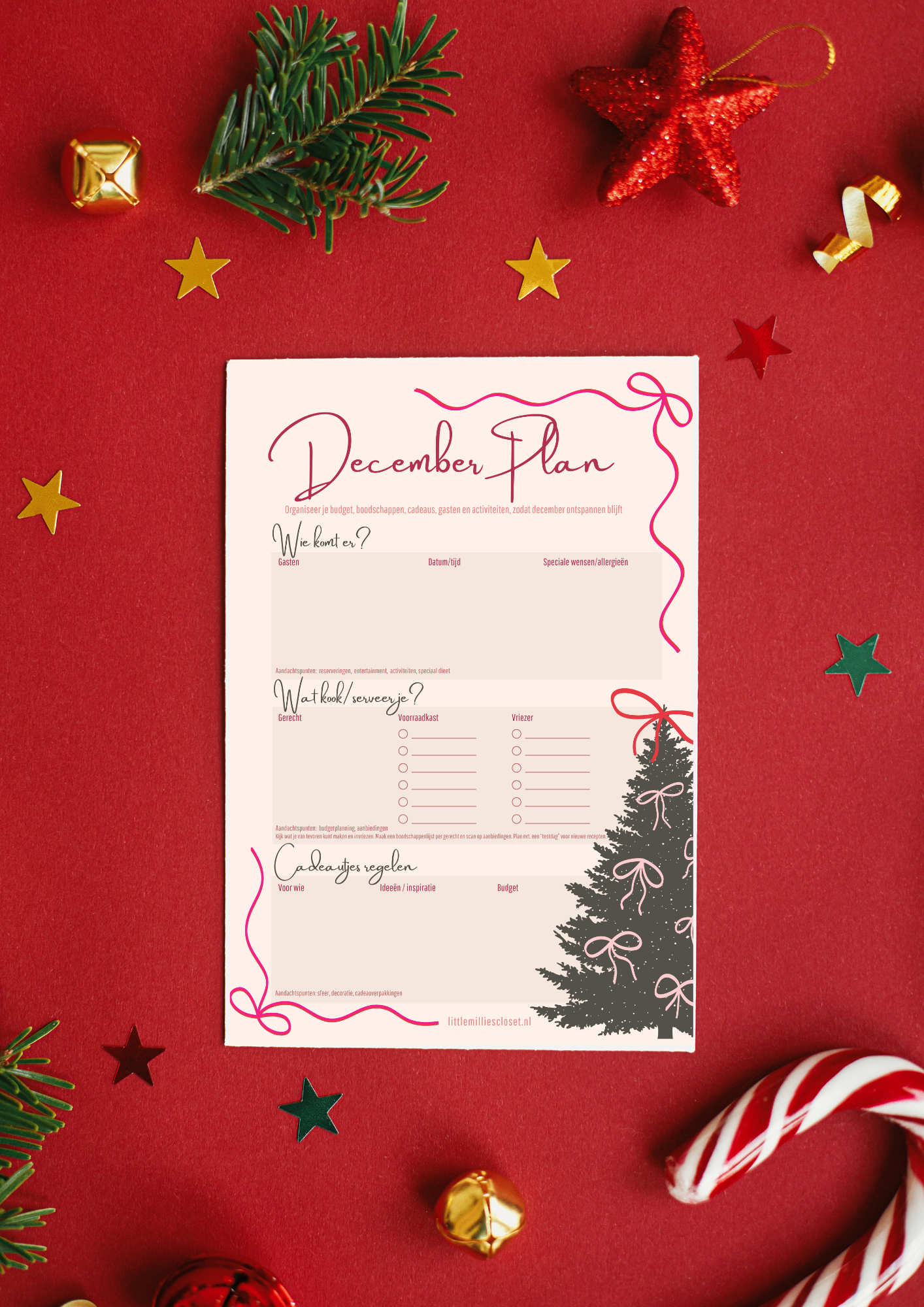 PLANNER - Decemberplan checklist
